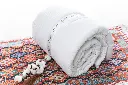 ANIK9920.webp