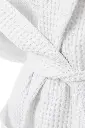 ANIK0313.webp